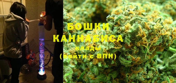 сатива Семёнов