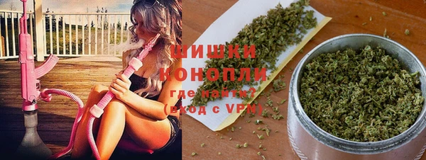 сатива Семёнов