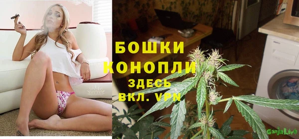 сатива Семёнов