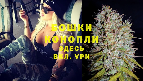 ешки Семилуки