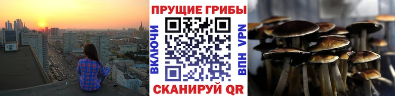 Псилоцибиновые грибы Psilocybe  продажа наркотиков  Северобайкальск 