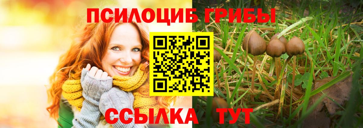 Галлюциногенные грибы Cubensis  Вход с VPN  Северобайкальск  Псилоцибиновые грибы ЛСД 